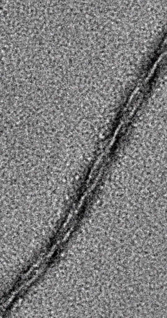 Picture8-538x1024